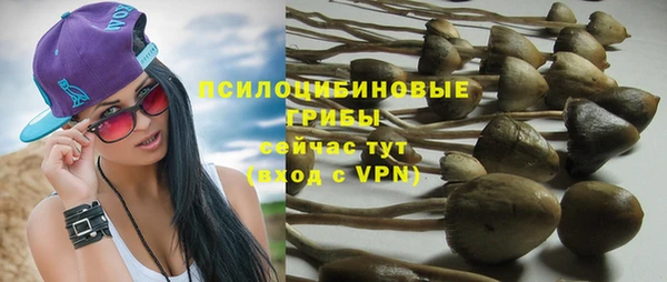 прущие крисы Алексин