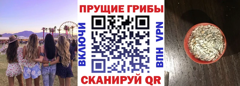 Псилоцибиновые грибы прущие грибы Ревда